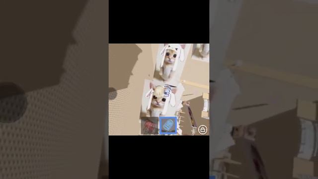 Крутые Карты в роблокс!