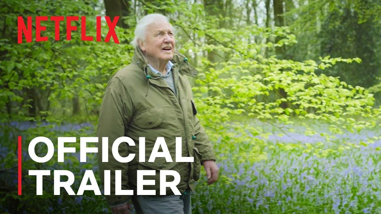 The Documentary Series Secret World of Sound with David Attenborough - Official Trailer | Netflix