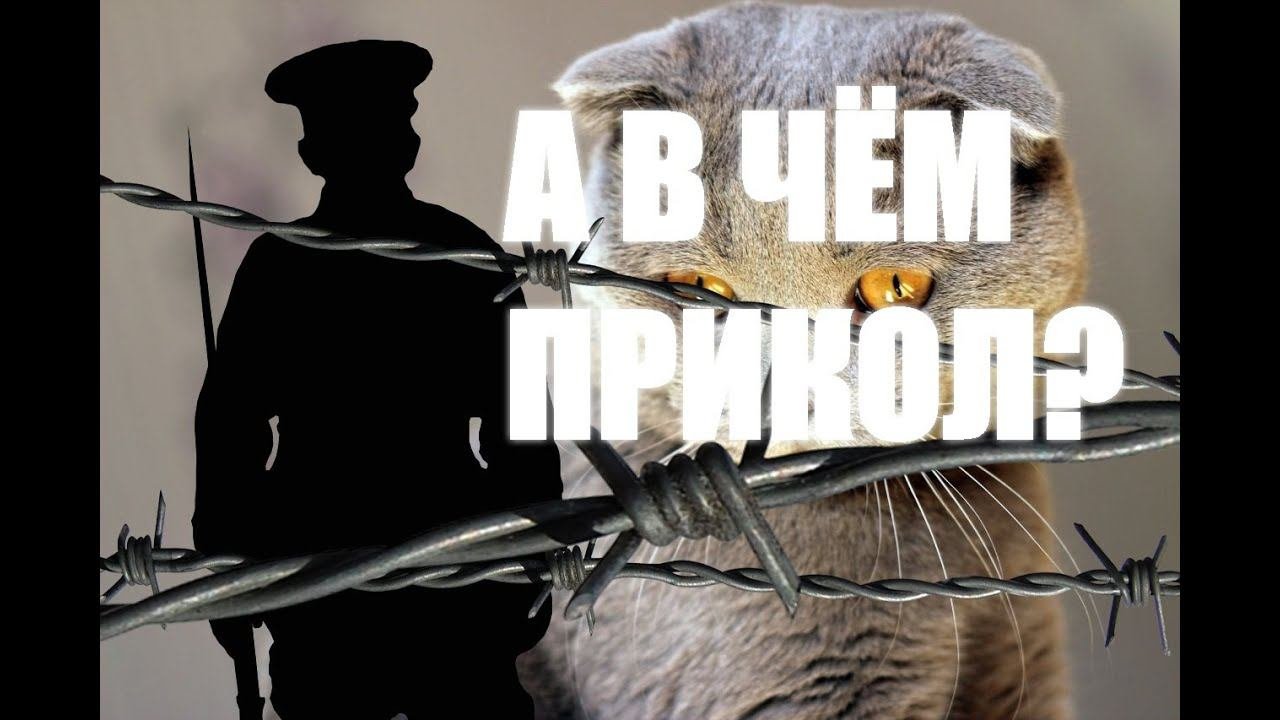 А в чём прикол? История колючей проволоки