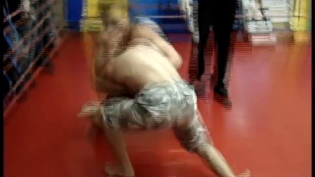 Фестиваль единоборств 