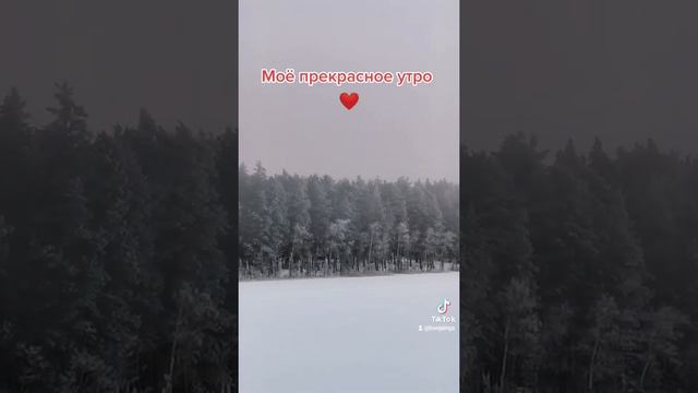 #моё #прекрасное #утро #латвия #природа #зима #лес #озеро #сказка #жизнь #кайф #любовь
