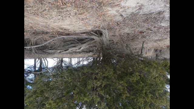 wayupdownblues the wind when it stands still