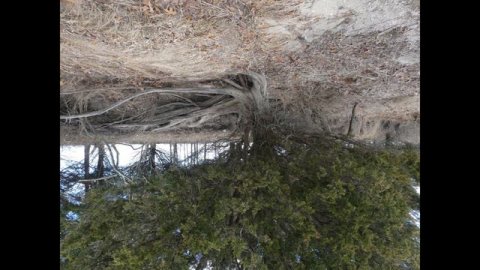 wayupdownblues the wind when it stands still