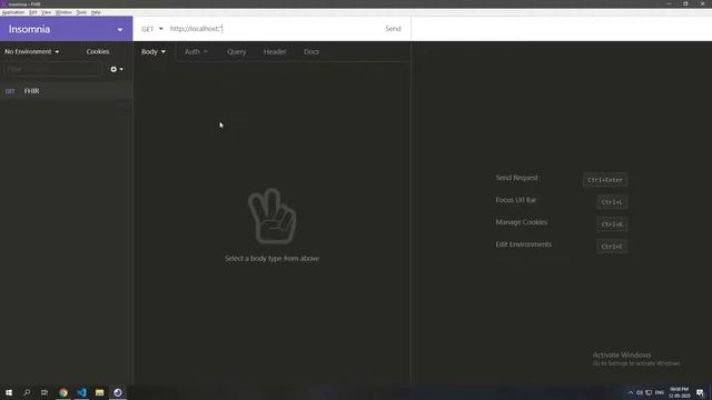 FHIR Intermediate - Running Your Own FHIR Server