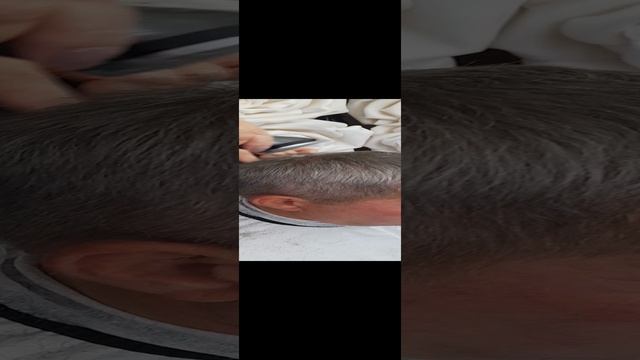 20231123_115351.mp4