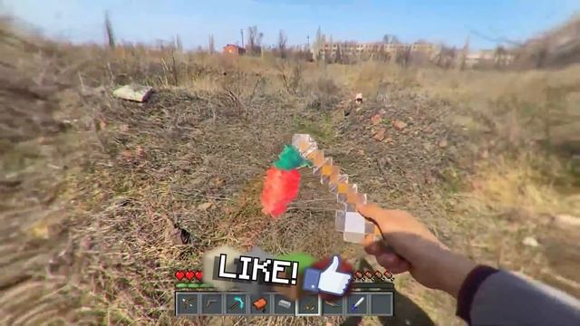 Minecraft in Real Life POV ~ REALISTIC VILLAGER HOUSE in Minecraft Real POV Animation