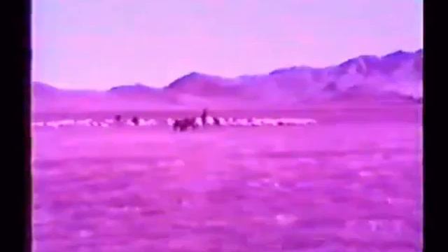 Эртинелиг Тыва (в нач. 1990-х гг.)