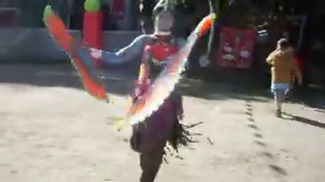 SDC17393.AVI