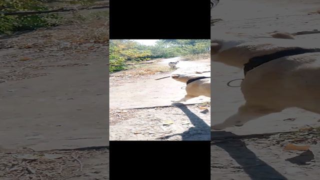 1000128999.mp4