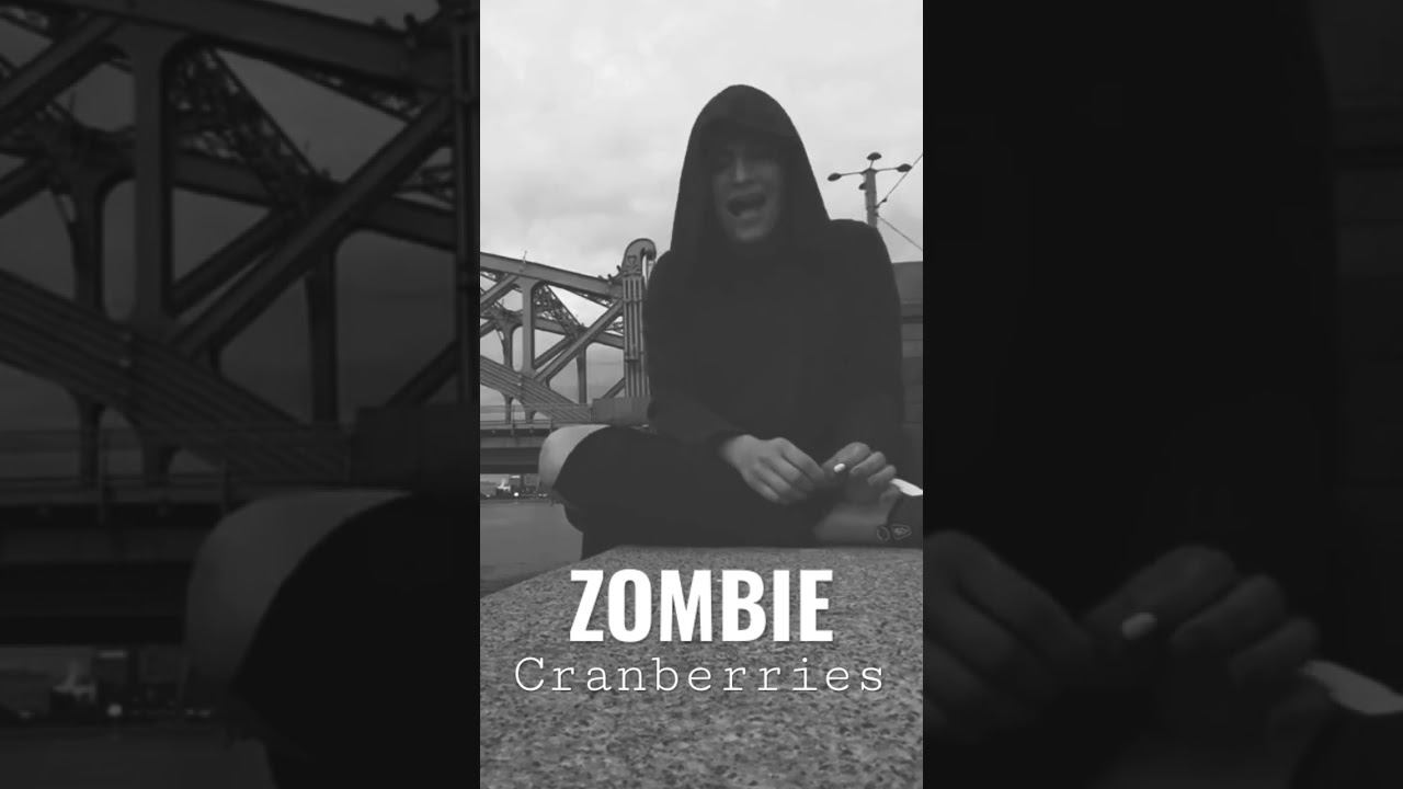 Zombie - Cranberries #cover #live