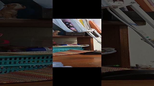 батон