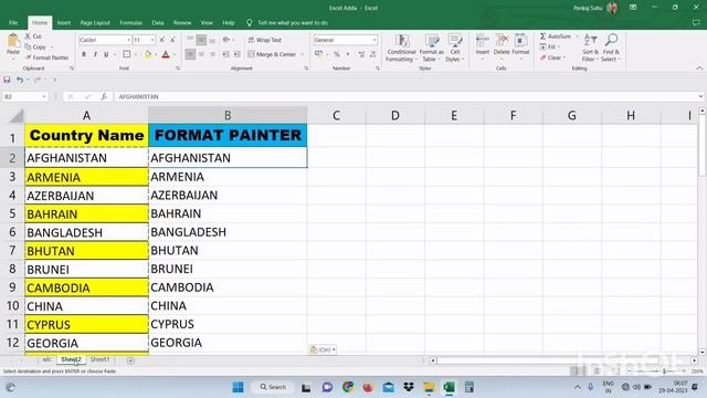 Format Painter In Excel Sheet.