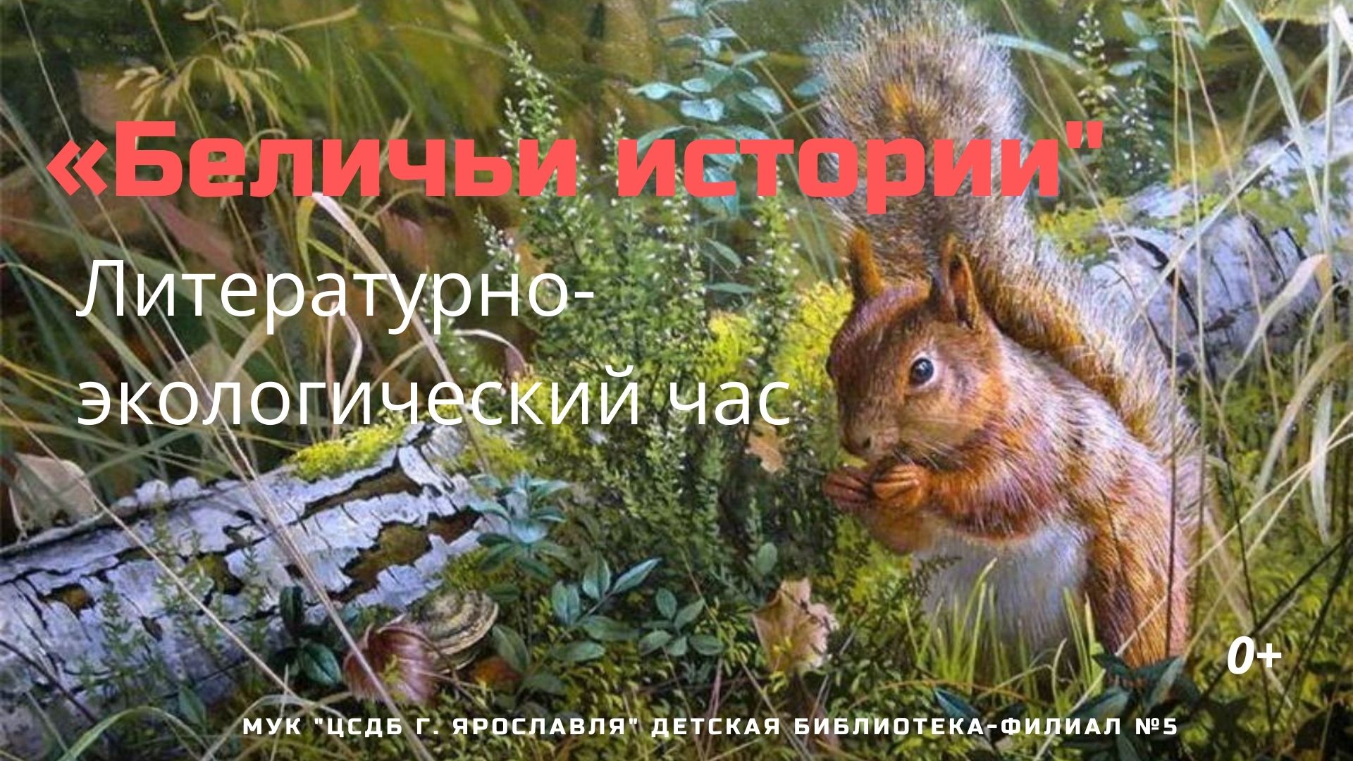 Беличьи истории