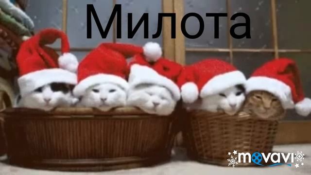 Без названия