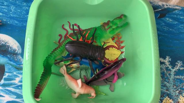 Sea animals for kids / УЧИМ МОРСКИХ ЖИВОТНЫХ / Crab, Crocodile, Octopus, Shark