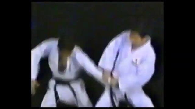 HAPKIDO   IHF   PART 2