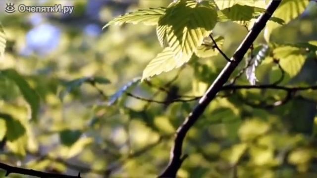 Музыка для души