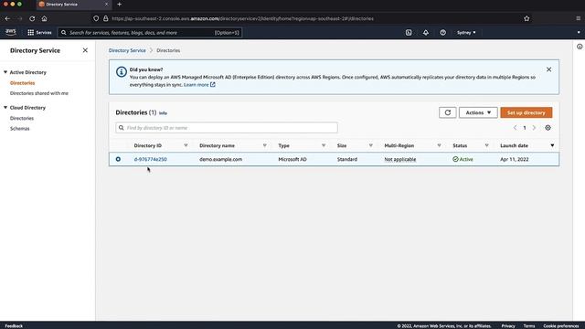 How do I reset the password for an Amazon WorkSpaces user?