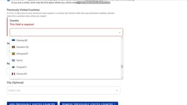 Procedura completare formular PLF Italia