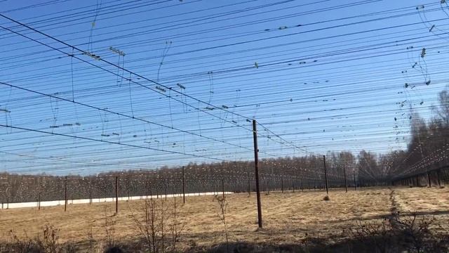 День открытых дверей в Пущинской радио астрономической обсерватории. 11 апреля 2021.