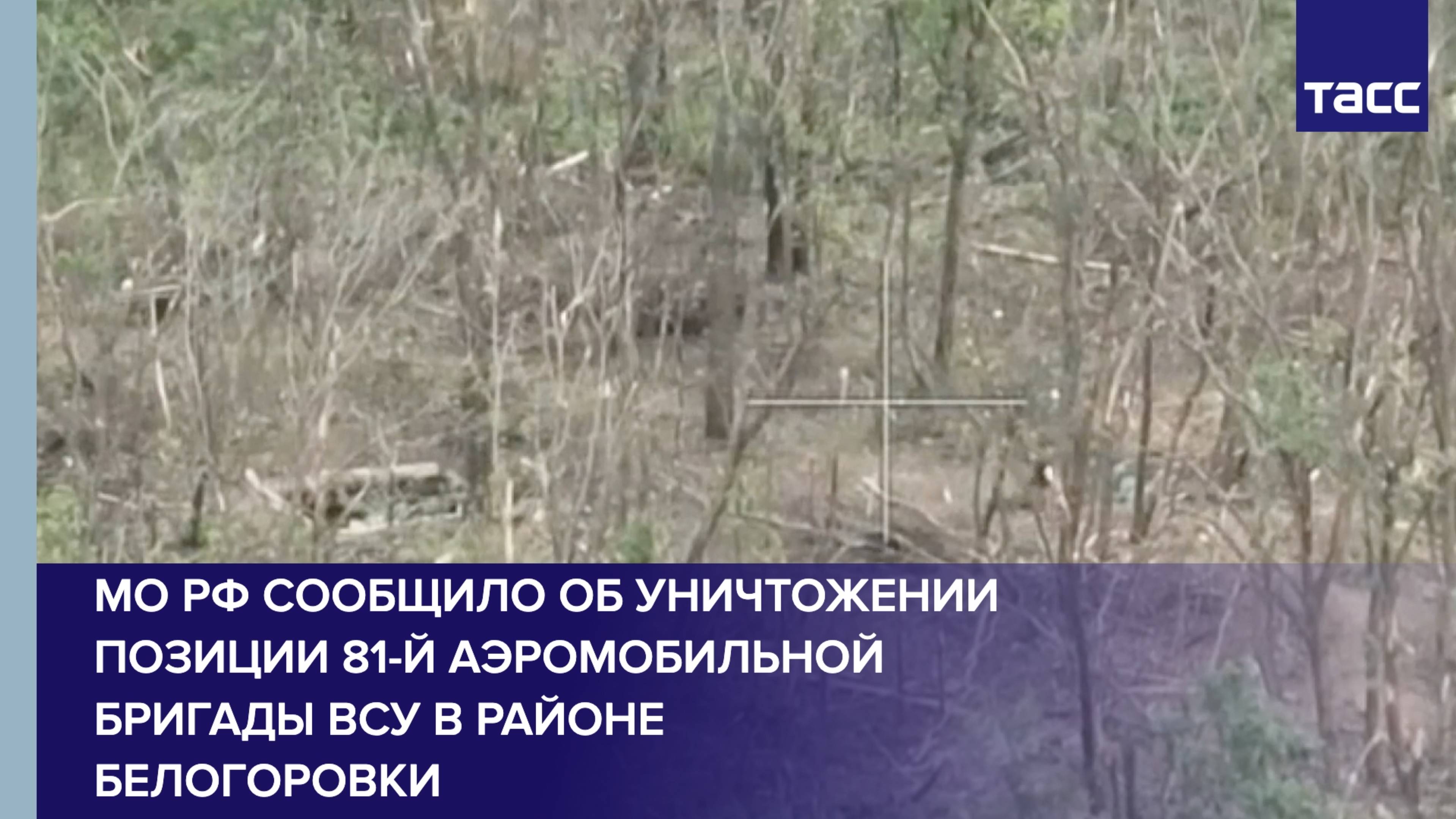 МО РФ сообщило об уничтожении позиции 81-й аэромобильной бригады ВСУ в районе Белогоровки