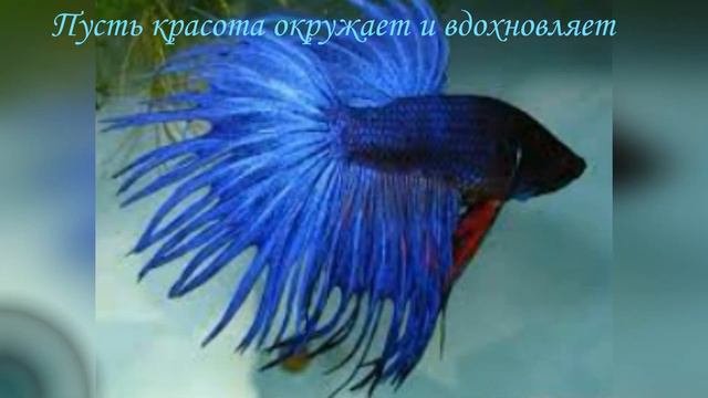 День в свежих тонах