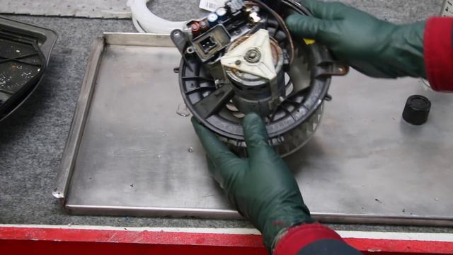 A Top 10 Alert for Mercedes W220 Owners: How to Prevent Costly Water Damage