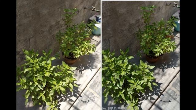Redmi Note 5 VS  Honor 6X Camera comparison