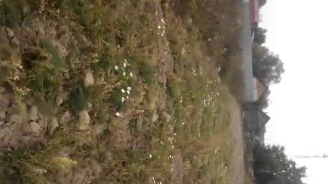 Для администрации деревни Михеево Медынского р-на Калужской области 18мат