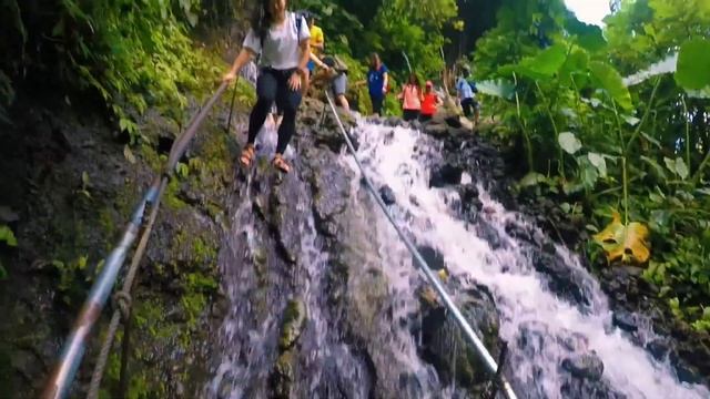 The Nature of East Java Indonesia