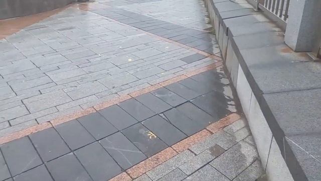 снимаю крик чаек и шум моря