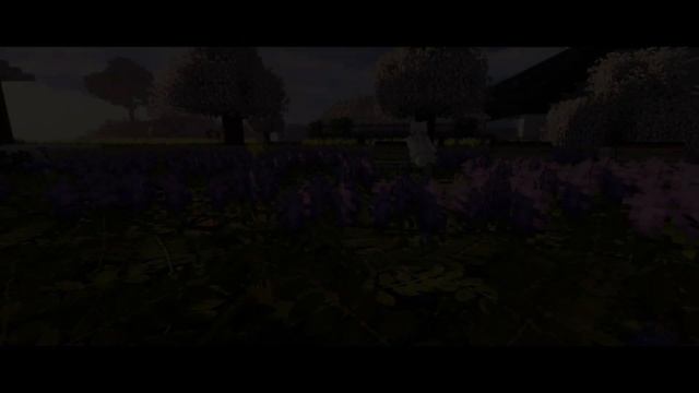 Swem Cinematic Trailer ? Minecraft Mod ?