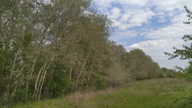 24 мая народный праздник Мокия Мокрого. День Кирилла и Мефодия.Народные приметы и традиции.