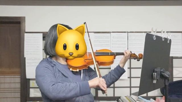 L.Beethoven Minuet inG  / After 10.5 months☆Beginner Violin