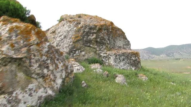 Скала и ромашки. Крым