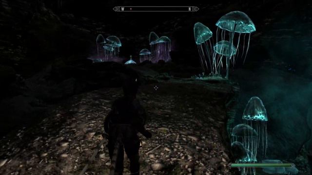 Skyrim SE: Legacy of the Dragonborn (Vers. 5.5) + 100 Mods - Khajiit - Episodio 41