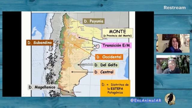 Instituto E.A.AR –. SELVAS Y MESETAS 