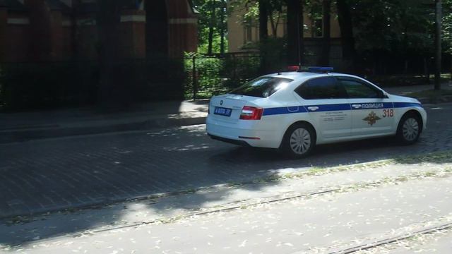 Škoda Octavia Полиция ДПС