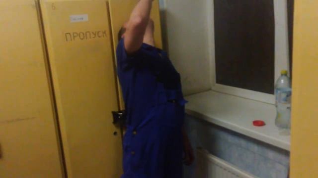 Новая реклама Shamtu