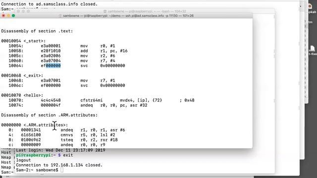 ARM Shellcode on the Raspberry Pi