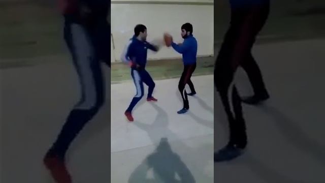 Армянский Баксер мочит лапу
