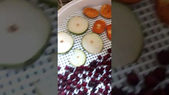 Зачем я сушу ягоды и травы