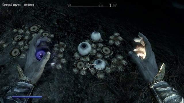 The Elder Scrolls V: Skyrim с Карном. Часть 28 [Дорога в Морфал]