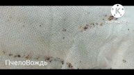 Осеняя обработка от клещей разными препаратами ЧАСТЬ-1.(Пчеловодство) Янги канага карши дорилар.