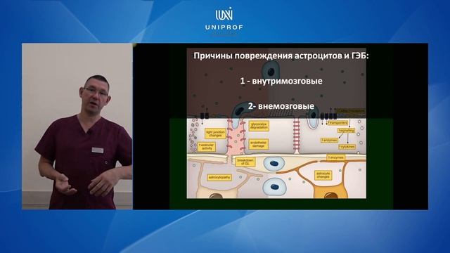 Аутизм и нейровоспаление