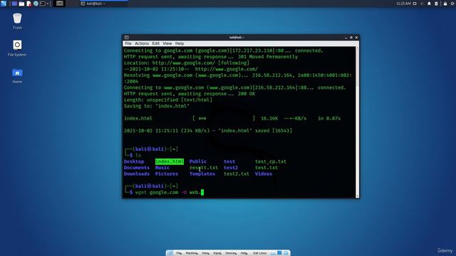 2.15. Kali Linux CLI - Downloading Files