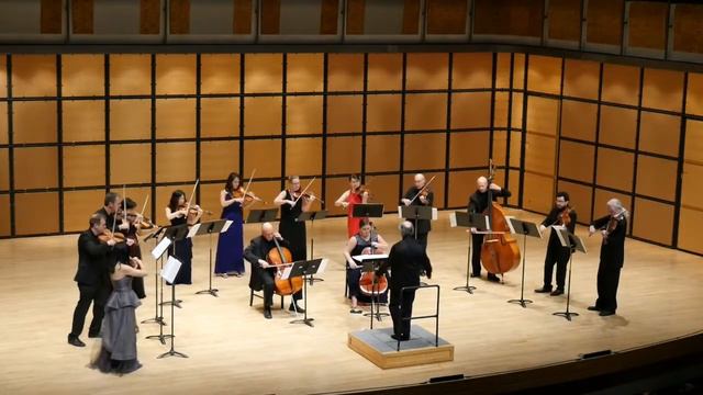 Edvard Mirzoyan: Theme and Variations