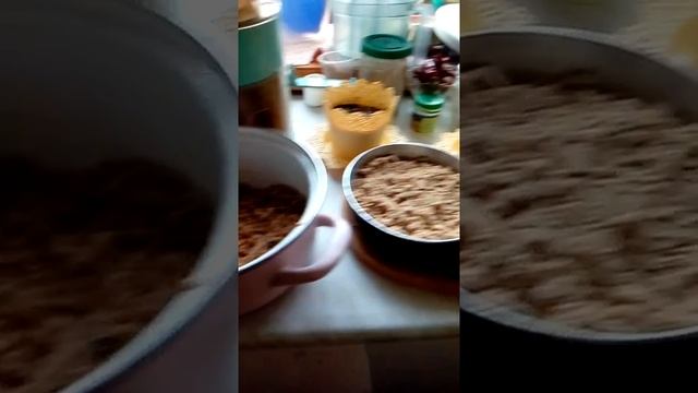 Ореховое масло из грецких орехов на соковыжималке!