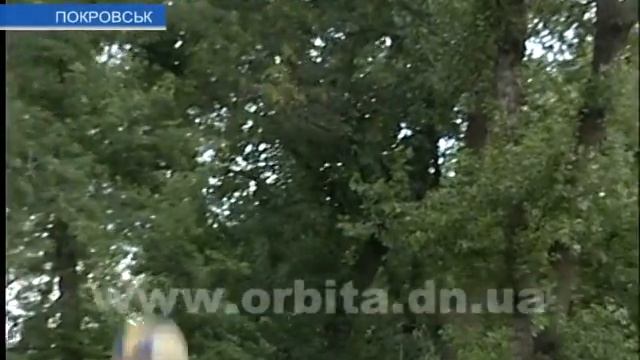 Жители Покровска в День Конституции дома не сидели