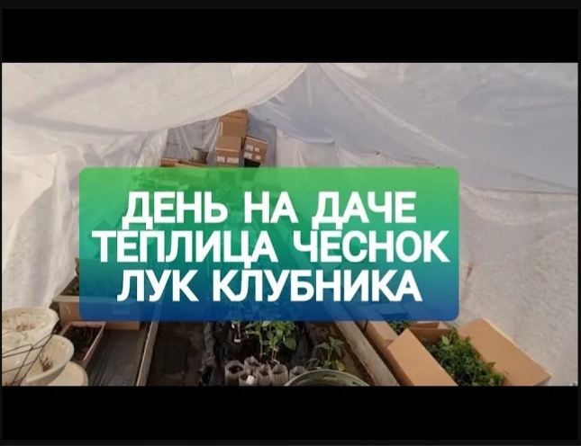 РАБОТА НА ДАЧЕ _ ЧЕСНОК клубника ТЕПЛИЦЫ.mp4